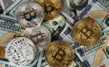 The Emergence of Cryptocurrencies: A Beginner's Guide