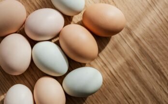 The Benefits of Protein: A Comprehensive Guide